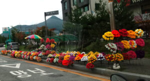 조화도매 조화소품 인테리어소품 조화나무 성묘조화 실크플라워