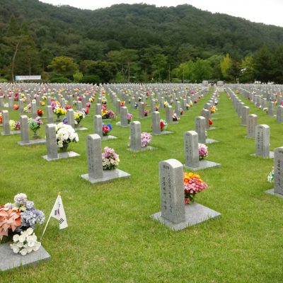 성묘 조화 도매 소품 산소꽃