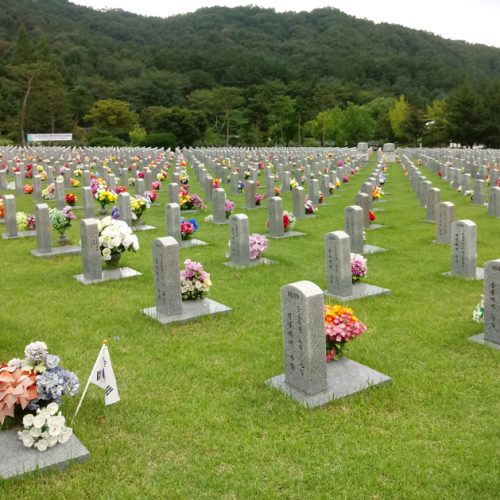 성묘 조화 도매 소품 산소꽃