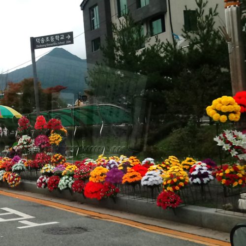 조화도매 조화소품 인테리어소품 조화나무 성묘조화 실크플라워